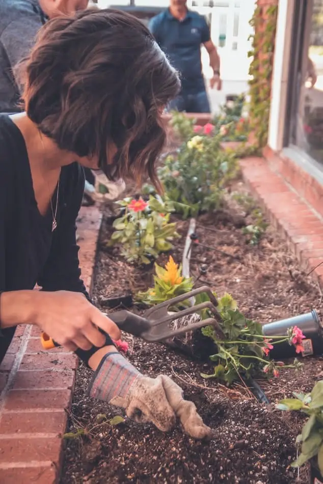 Leiston community garden project